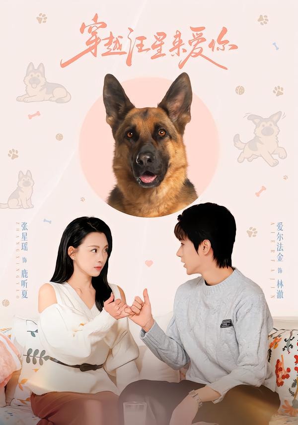 穿越汪星來(lái)愛(ài)你