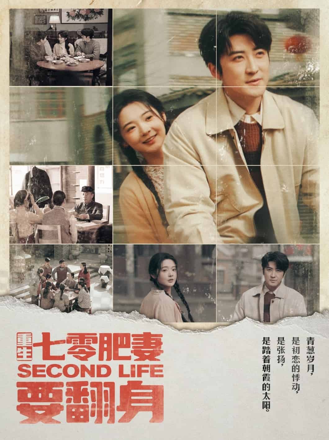 陳軍李夢免費閱讀小說