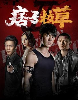 柳茜與流浪漢小說